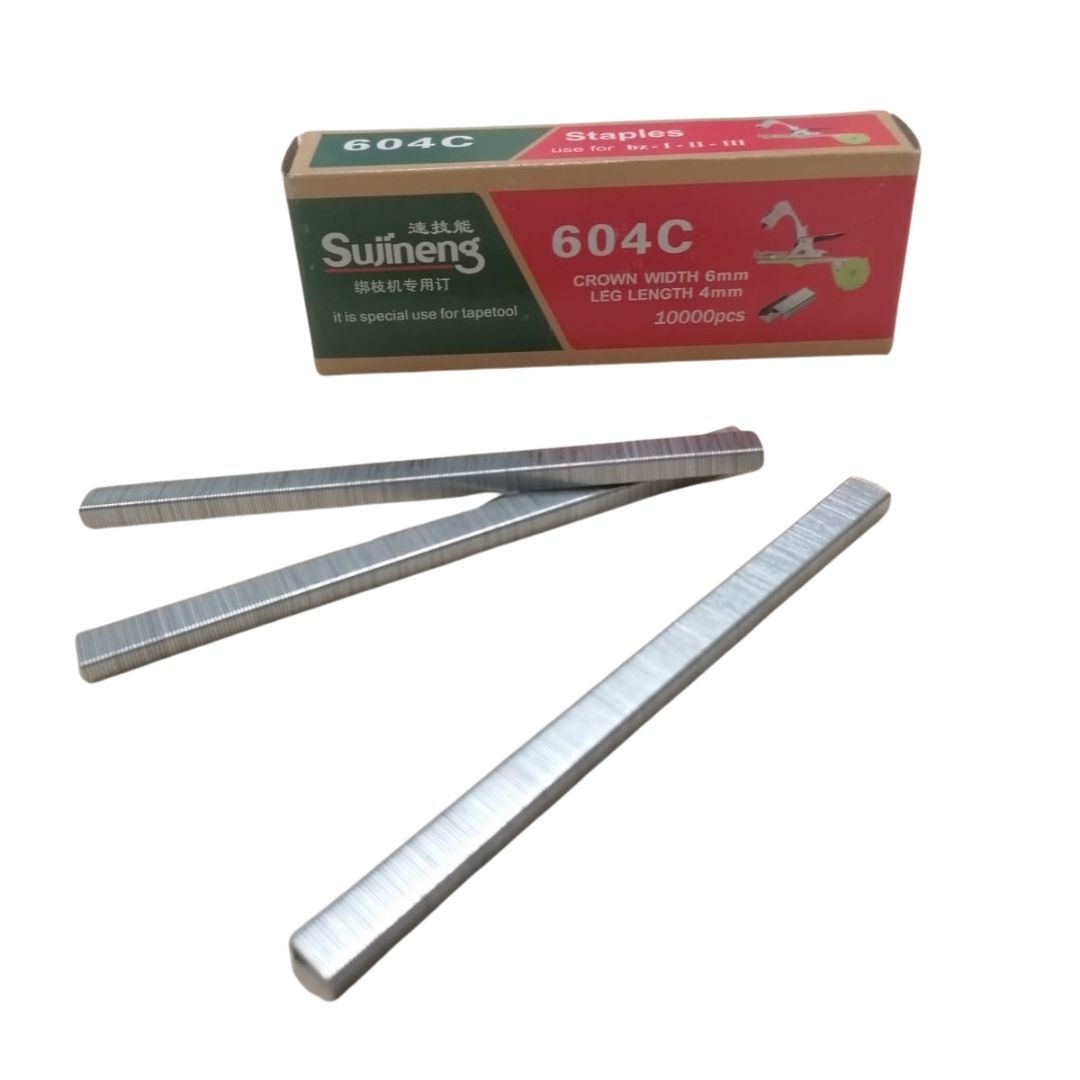 max-tapaner-zimba-604c